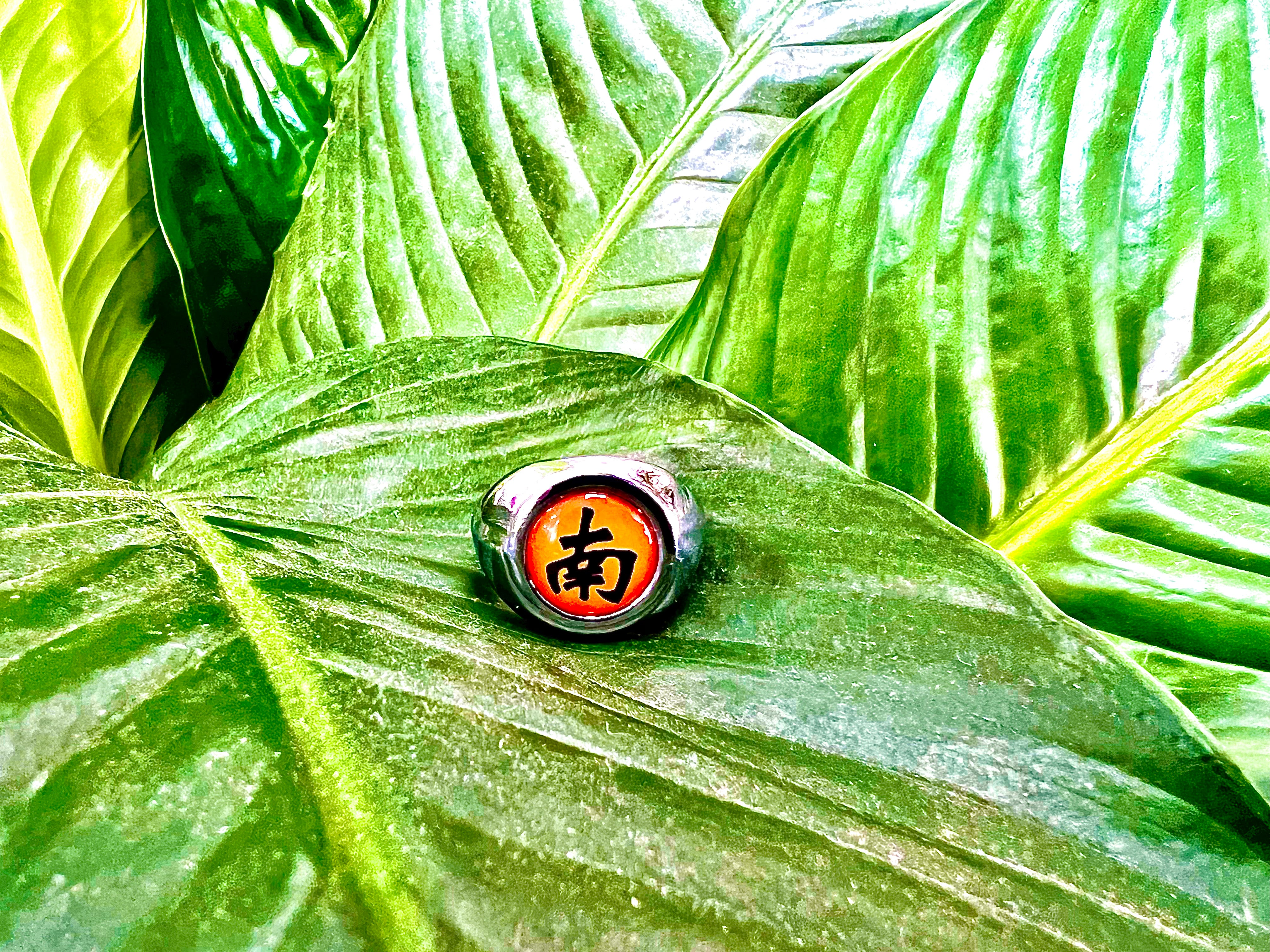 Kisame's Akatsuki Ring - Naruto