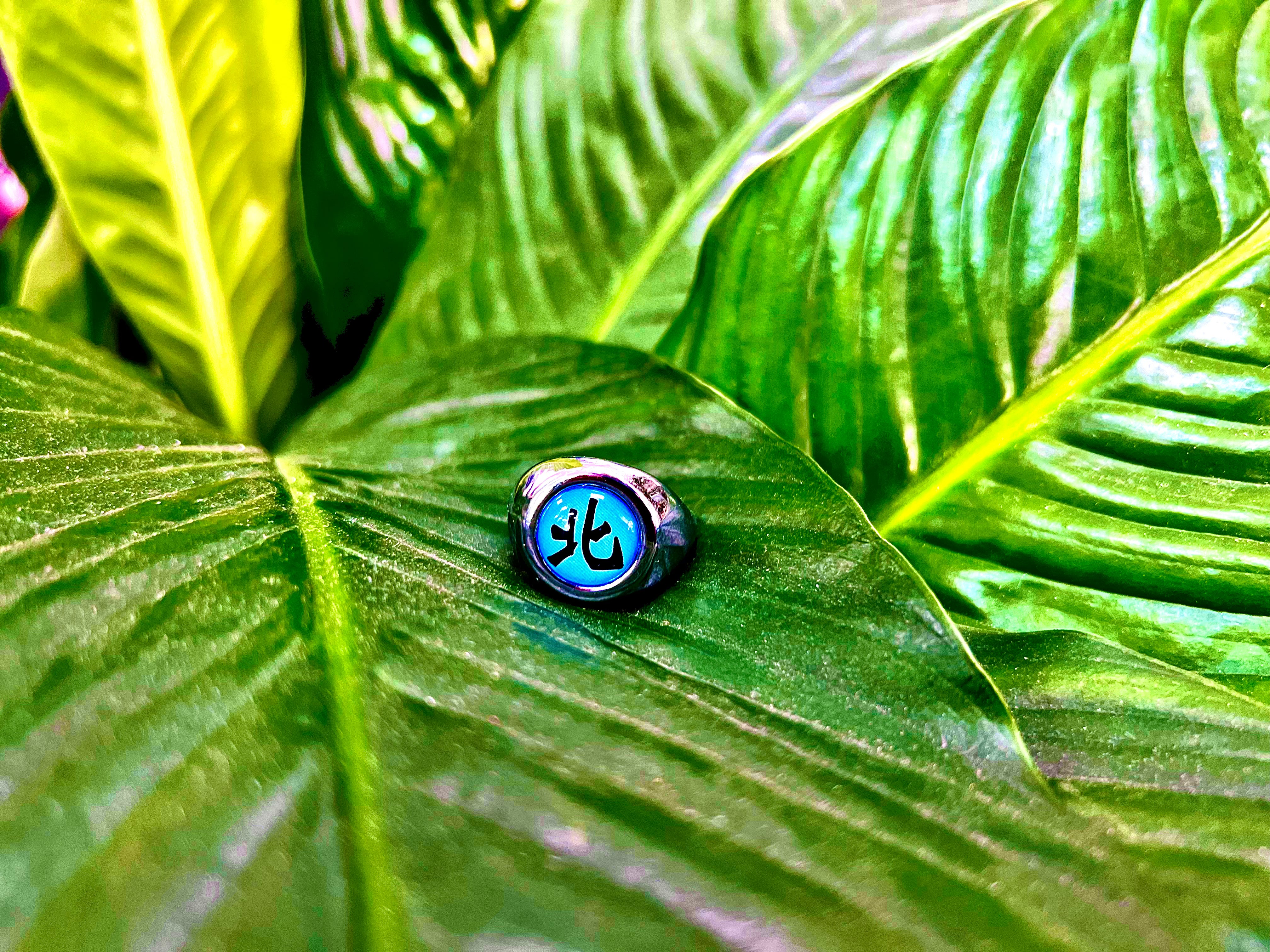 Kakuzu's Akatsuki Ring - Naruto