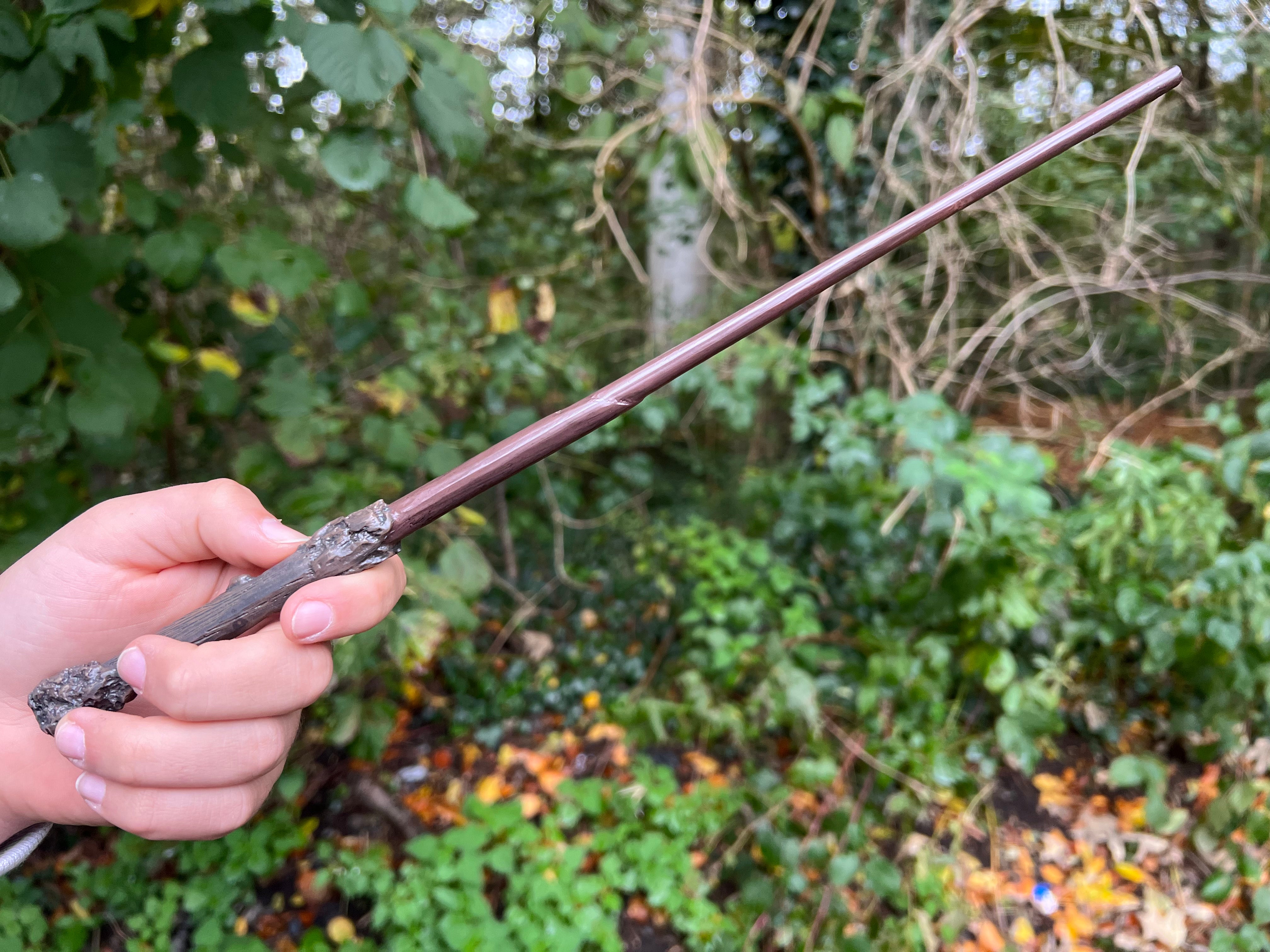 Harry Potter's Wand-Harry Potter